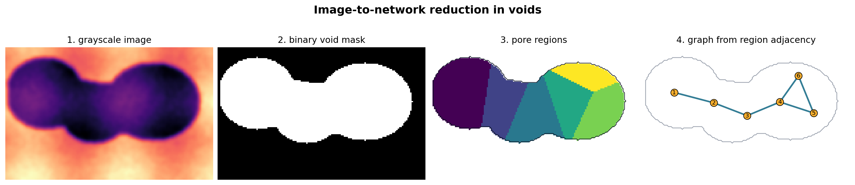 Image-to-network pipeline