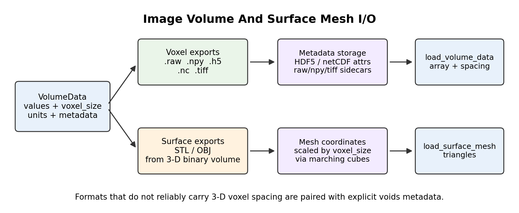 Image volume and surface mesh IO workflow